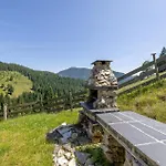 Ferienhaus Eben Im Pongau