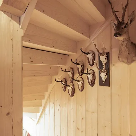 Ferienhaus Eben Im Pongau Vakantiehuis *